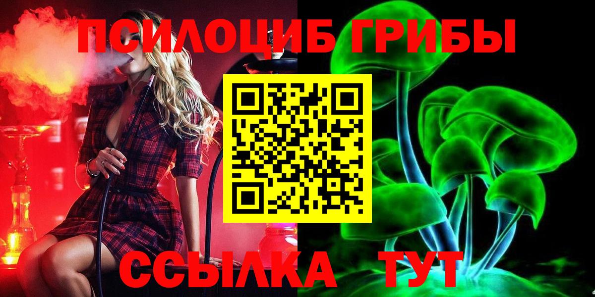 Галлюциногенные грибы Cubensis Кимры