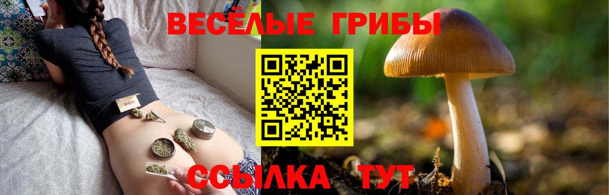 Кимры  Псилоцибиновые грибы прущие грибы  Галлюциногенные грибы ЛСД  Вход с VPN 